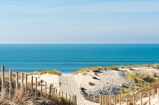 Cap Ferret