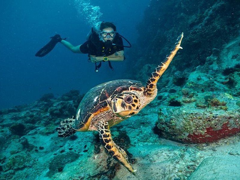 Tortugas ou Playa Tuquillo