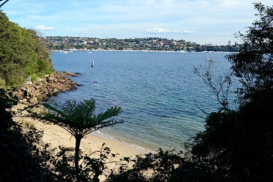 Queens Beach (Sydney)