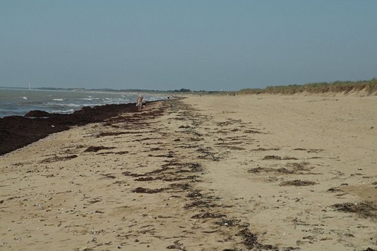 La plage du Bois Soret