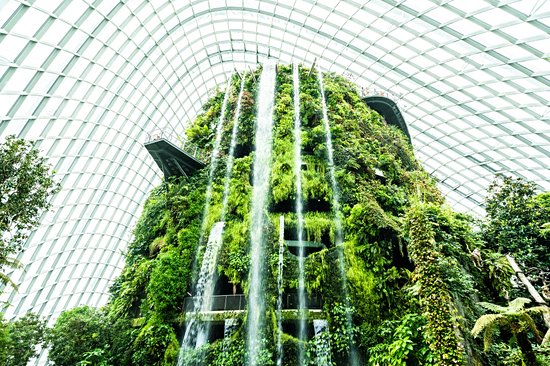 Gardens by the Bay