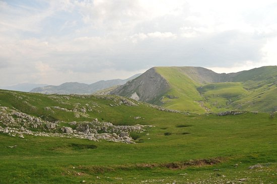 Maglić