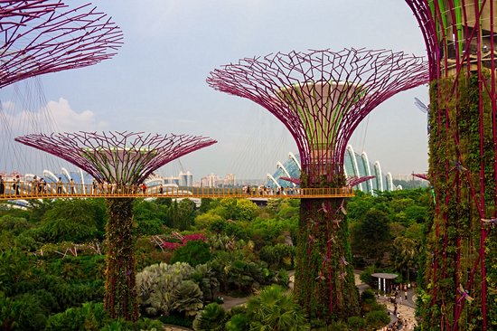 Gardens by the Bay