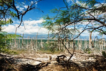 Lac Enriquillo