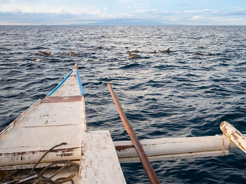 Voguer d'île en île - 