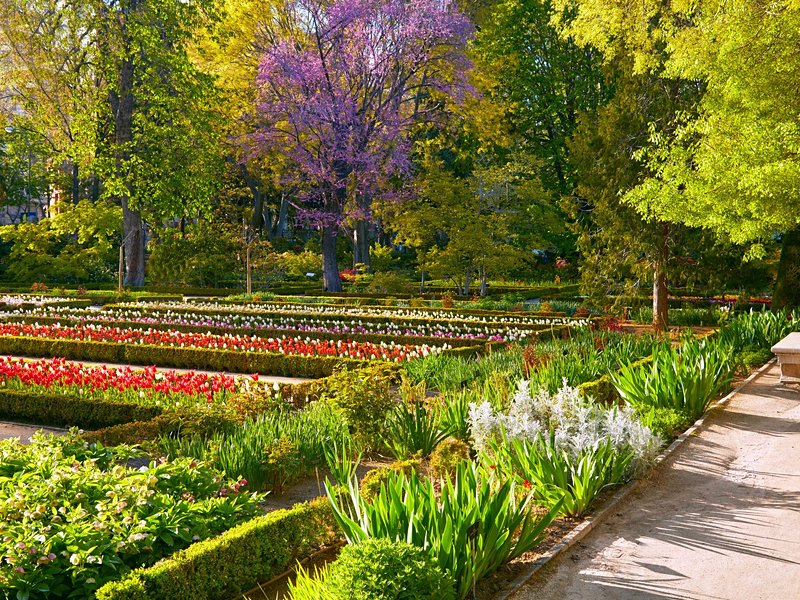 Jardin botanique royal de Madrid