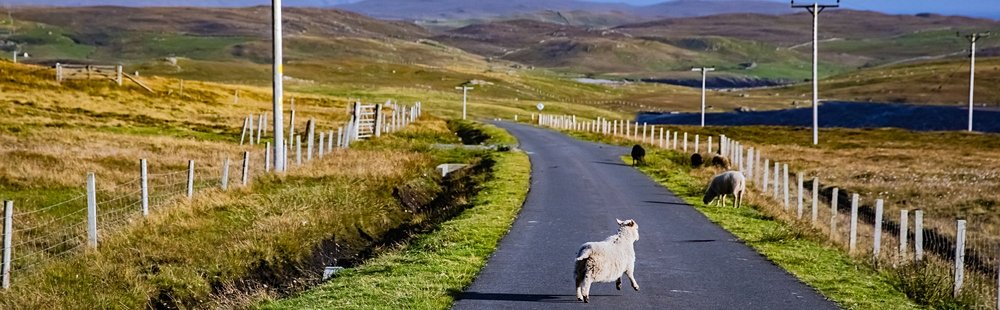 L’archipel des Shetland
