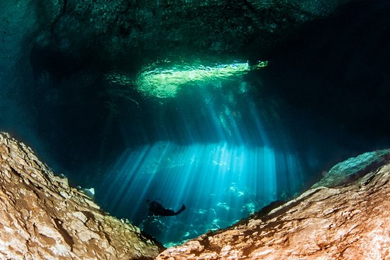 Cenote Jardin del Eden, Playa del Carmen