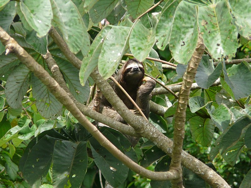 Parc national Soberania