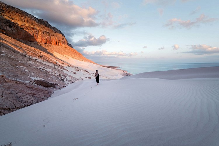 Île de Socotra - Yémen 3
