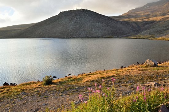 Lac Kari