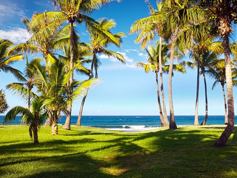 La plage de Grande Anse