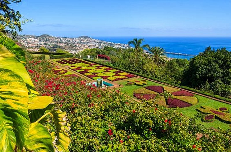 Découvrir les jardins tropicaux de l'île de Madère