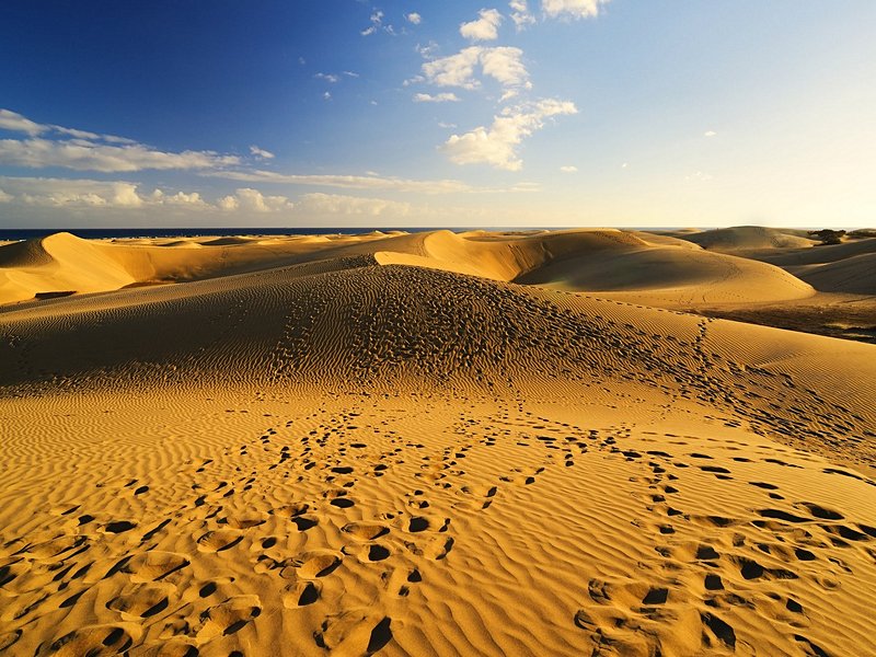 Les dunes de Maspalomas