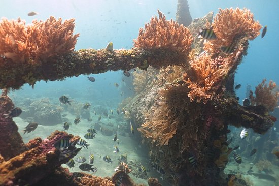 L'épave du Japanese Wreck