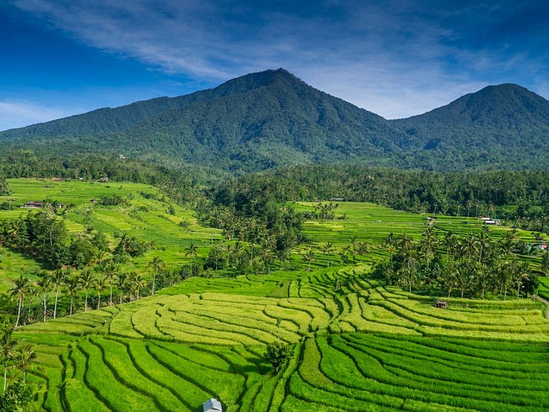 Jatiluwih (Bali)