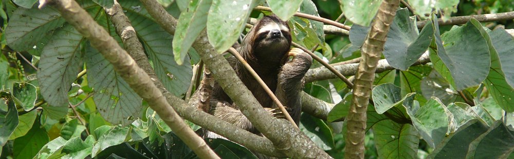 Parc national Soberania