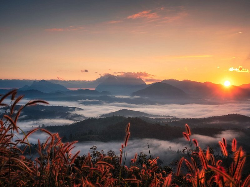 Ascension du Doi Luang à Chiang Dao