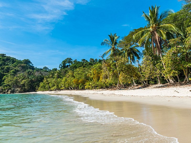 Les plages de Manuel Antonio