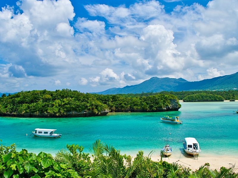 L’île Iriomote dans la préfecture d’Okinawa