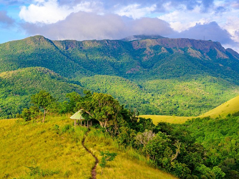 Grimper au sommet du mont Tapyas