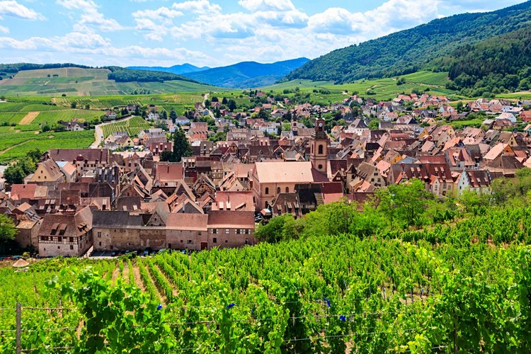 Route des vins d'Alsace - France 3