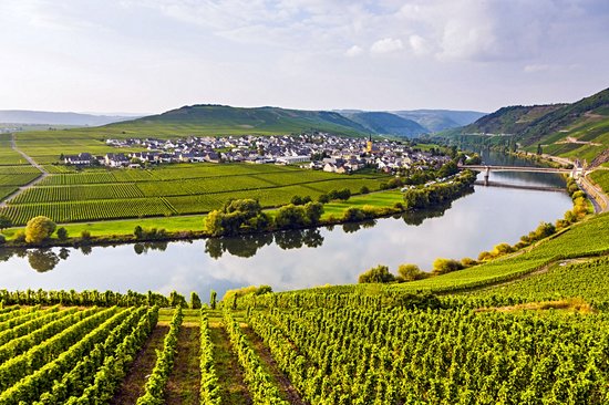 Vallée de la Moselle