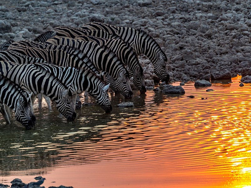 Parc national d'Etosha