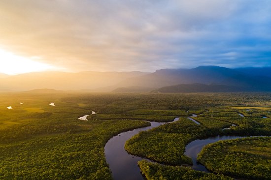 La forêt amazonienne