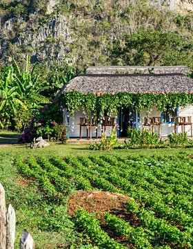 Les plus beaux lieux de Viñales