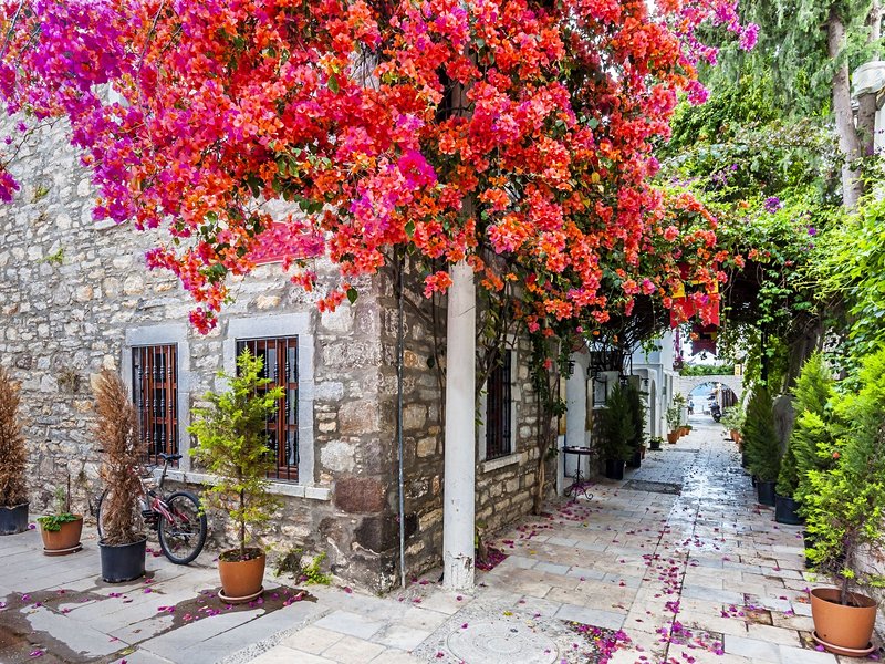 Bodrum