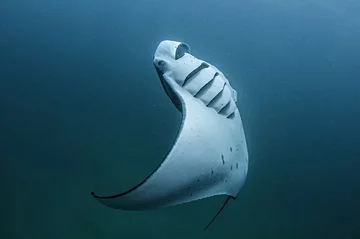 Baa Atoll