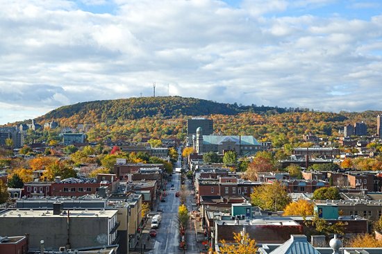 Le Plateau-Mont-Royal et le Mile End