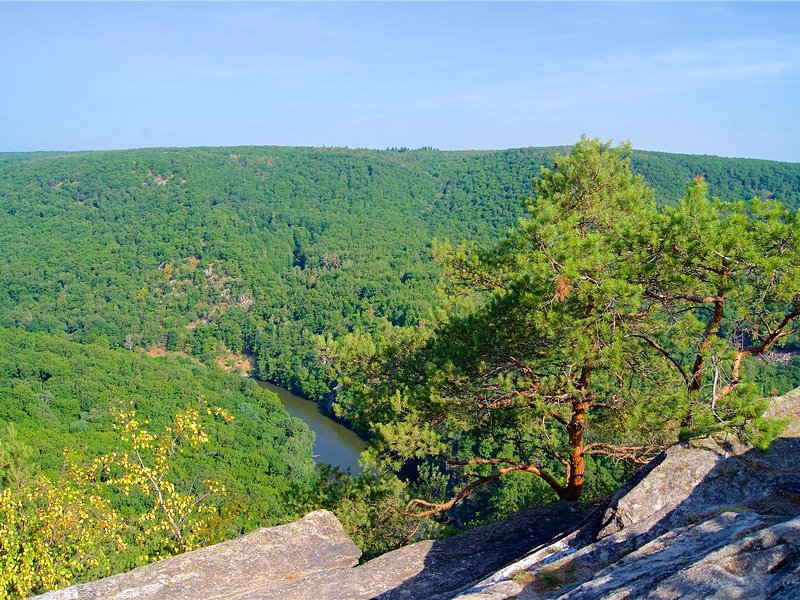 Le Parc National de Thayatal