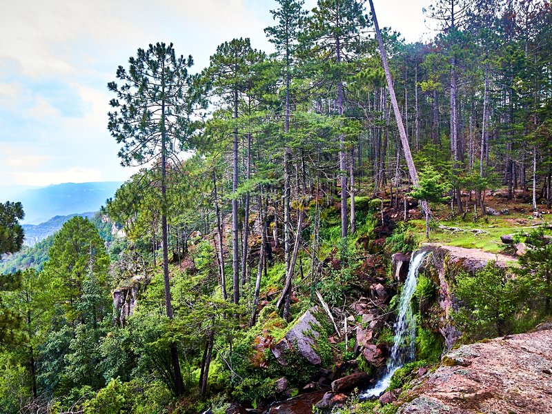 Cascade de Mexiquillo