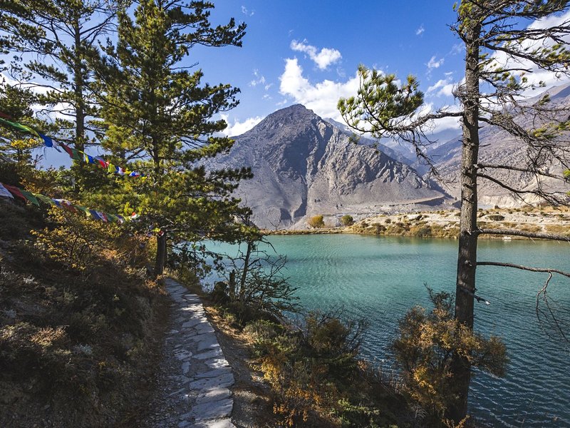 Trek dans les Annapurnas