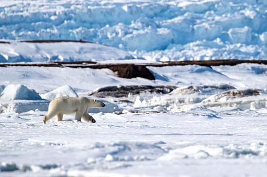 Svalbard
