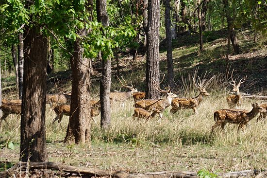 Parc national de Pench