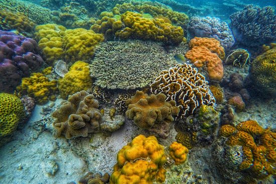 Faire du snorkeling à Siete Pecados