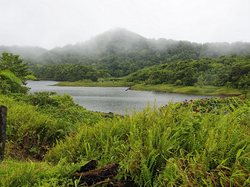 Lac Freshwater