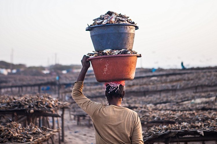 Kafountine, au plus près des pêcheurs sénégalais 3