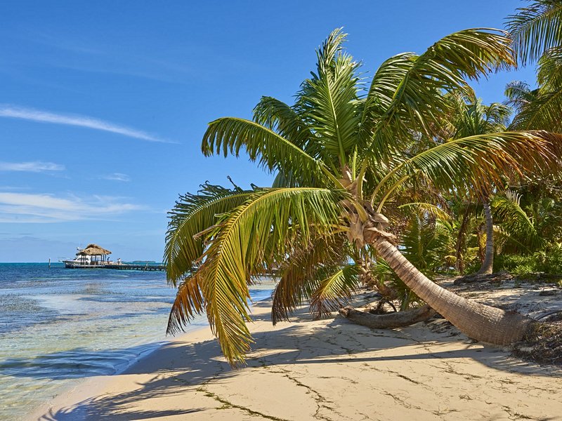 Les plages d’Ambergris Caye