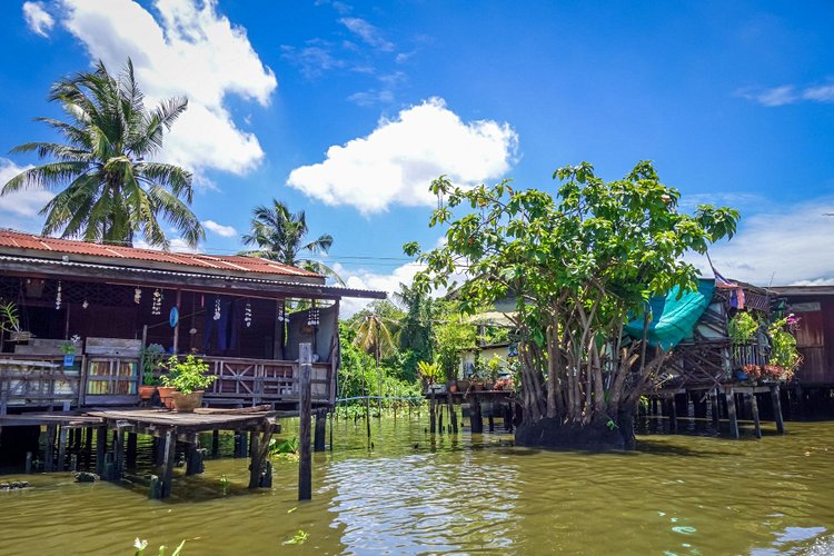 Visite des Khlongs de Bangkok 2