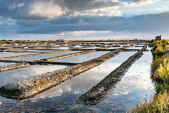 Visiter des marais salants