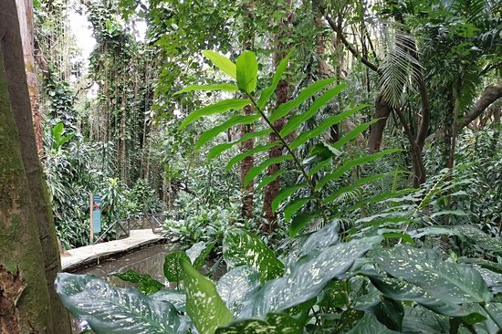La Vanille Nature Park