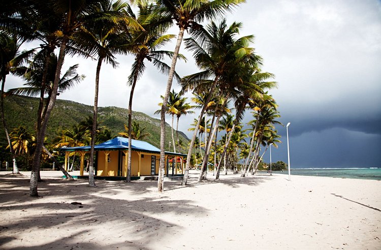 Visiter La Désirade : la Guadeloupe hors des sentiers battus