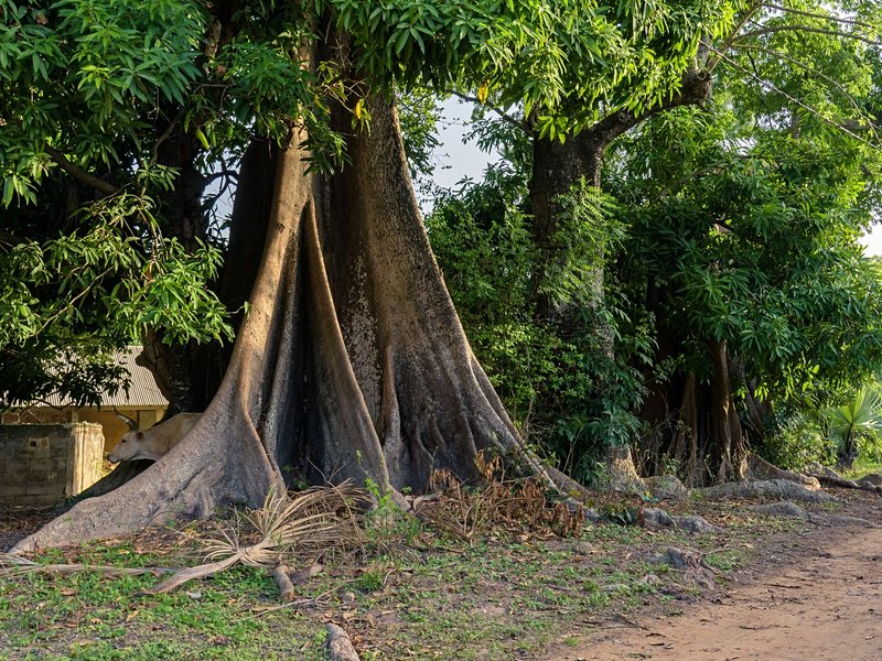 La Casamance