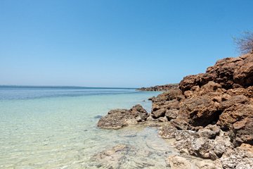 Île Iguana