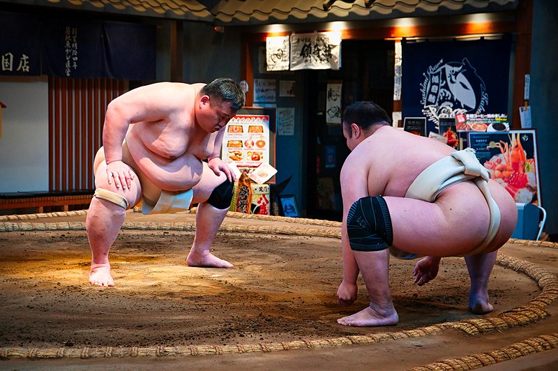 Au Cœur des écuries, vivre l'Expérience des Entraînements secret des Sumo