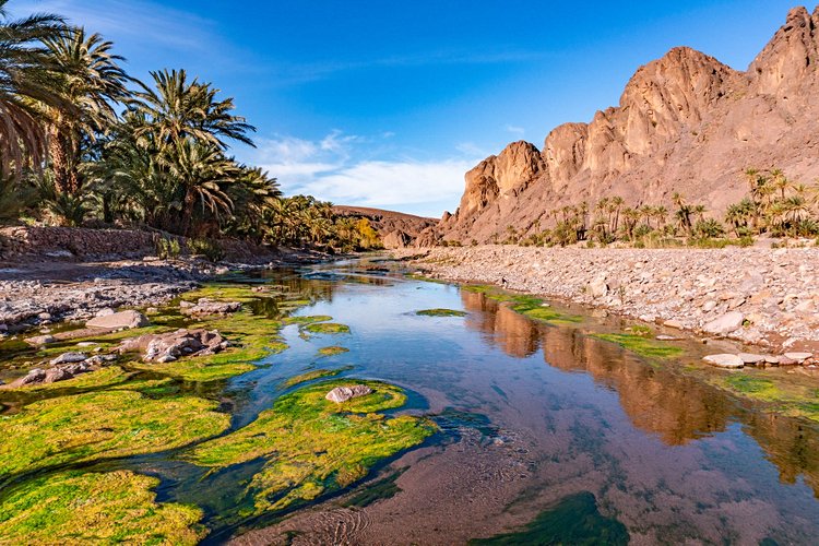 L'oasis de Fint